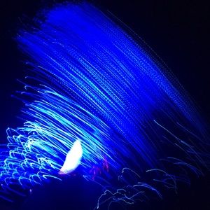 Meet your Posher, Claire